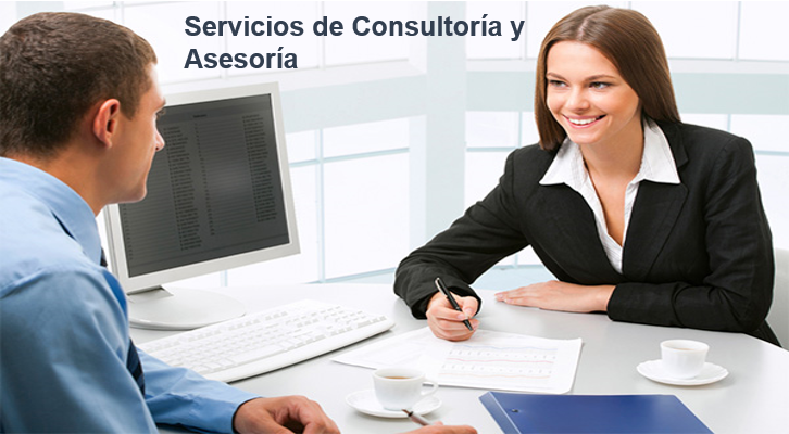 Servicios de Asesor�a